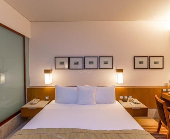 ניו דלהי Hotel Plaza International Near Delhi Airport מראה חיצוני תמונה